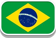 brazilian flag
